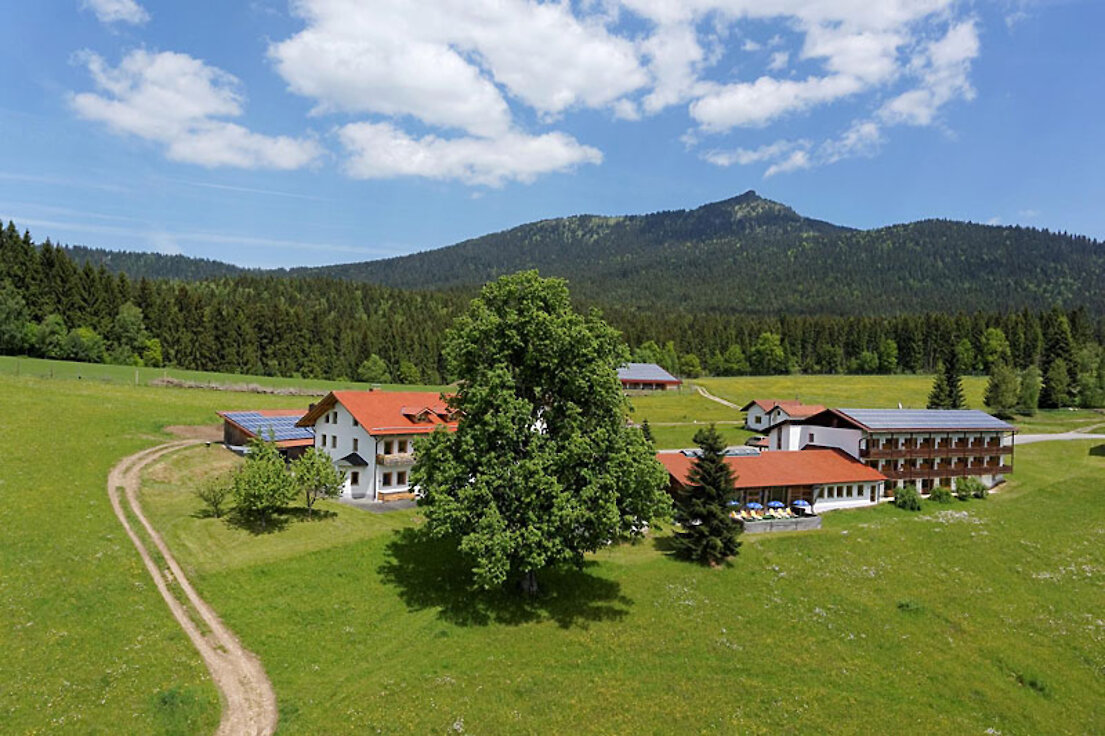 Bayerischer Wald